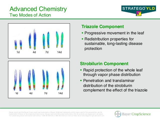 Stratego® YLD - Corn & Soybean Fungicide