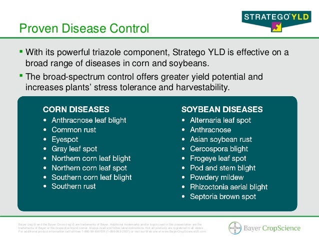 Stratego YLD Corn and Soybean Fungicide - 2012 Brand Presentation