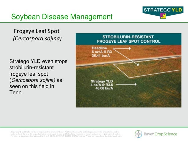 Stratego YLD Corn and Soybean Fungicide - 2012 Brand Presentation