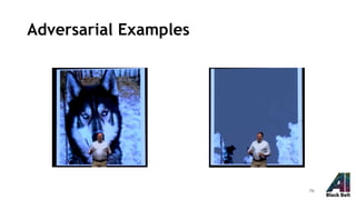 Adversarial Examples
76
 