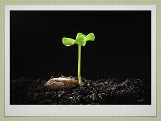 Strategic Planning and CDF Training