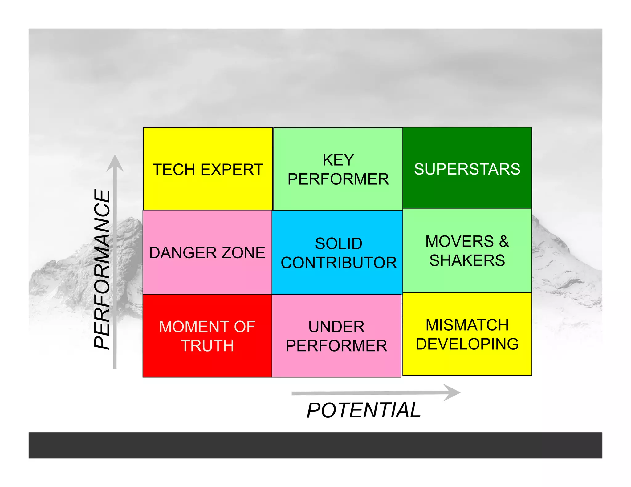TECH EXPERT
KEY
PERFORMER
SUPERSTARS
DANGER ZONE
SOLID
CONTRIBUTOR
MOVERS &
SHAKERS
MOMENT OF
TRUTH
UNDER
PERFORMER
MISMATCH
DEVELOPING
 