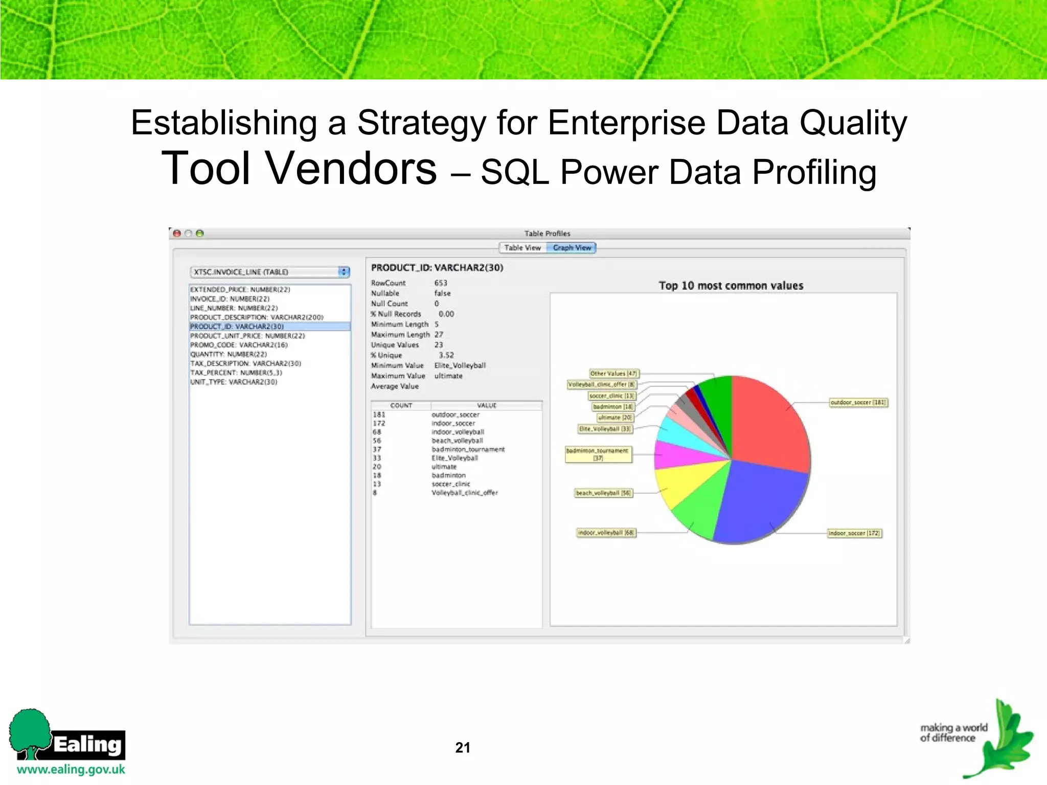 Establishing a Strategy for Enterprise Data Quality Tool Vendors  – SQL Power Data Profiling 