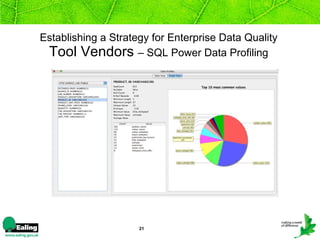 Establishing a Strategy for Enterprise Data Quality Tool Vendors  – SQL Power Data Profiling 