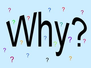 ? ?   ? ? ? ? ? ? ? ? ? ? ? ? ? ? ? 