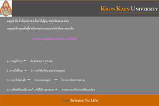 KHON KAEN UNIVERSITY
Neo-Science To Life
กลยุทธ์ คือ หางเสือที่ช่วยในการกาหนดและกากับทิศทางของเรือ
กลยุทธ์ คือ สิ่งที่องค์กรทาเพื่อนาไปสู่ความสาเร็จขององค์กร
การบริหารกลยุทธ์ คือ การทาความเข้าใจกับ
1. เราอยู่ที่ไหน ต้องวิเคราะห์ SWOT
2. เราจะไปไหน กาหนดวิสัยทัศน์ กาหนดกลยุทธ์
3. เราจะไปอย่างไร กาหนดกลยุทธ์ โครงการกิจกรรมต่างๆ
4. เราต้องปรับเปลี่ยนอะไรเพื่อไปถึงจุดหมาย กระบวนการในการเปลี่ยนแปลง
 