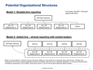 Svp Business Meaning Strategy & new ventures | PDF