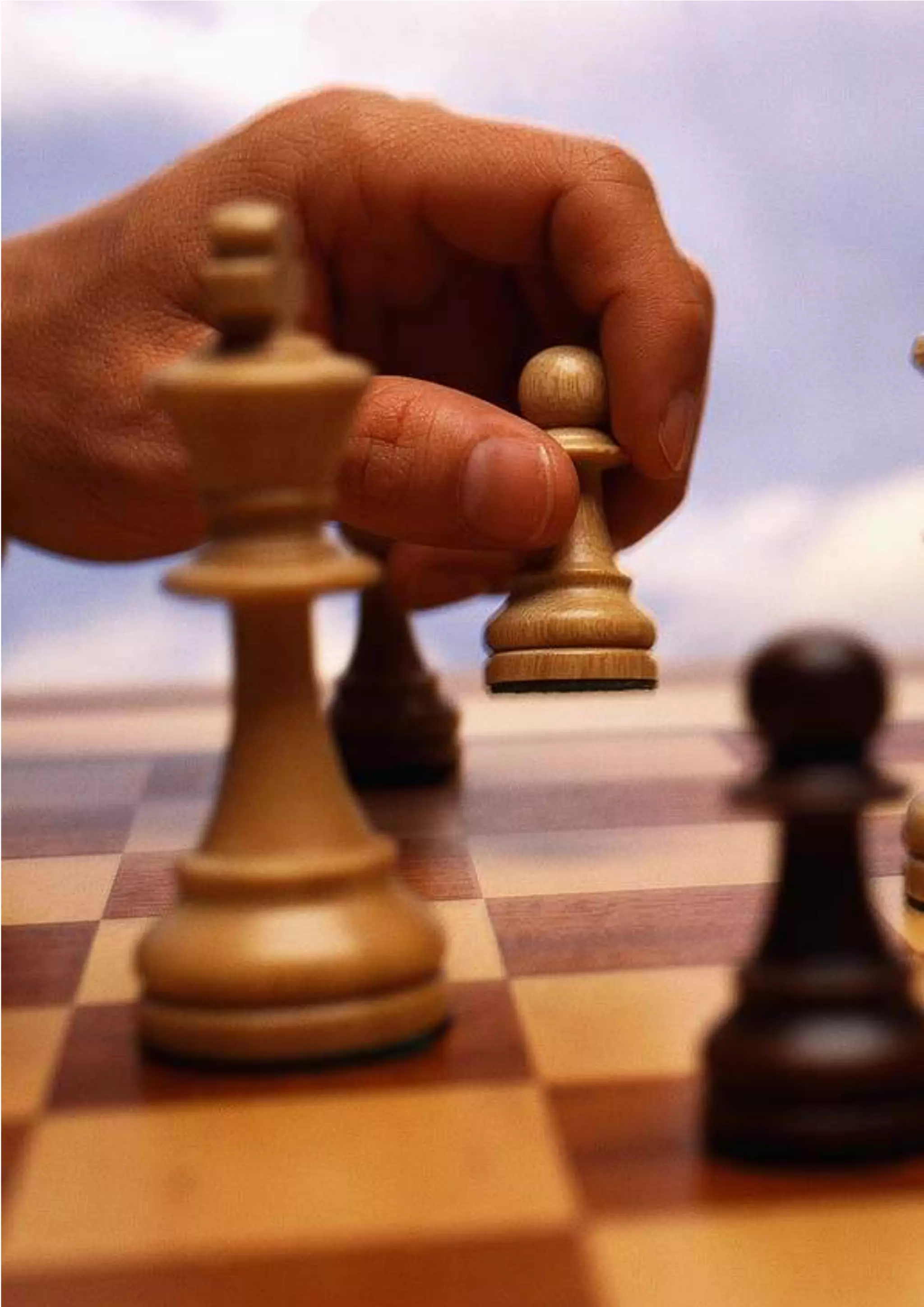 LASSIB Society | Industry Advisory Report on Strategy Development 2013
Page | 13 | © 2013 LASSIB Society, All Rights Reserved
 