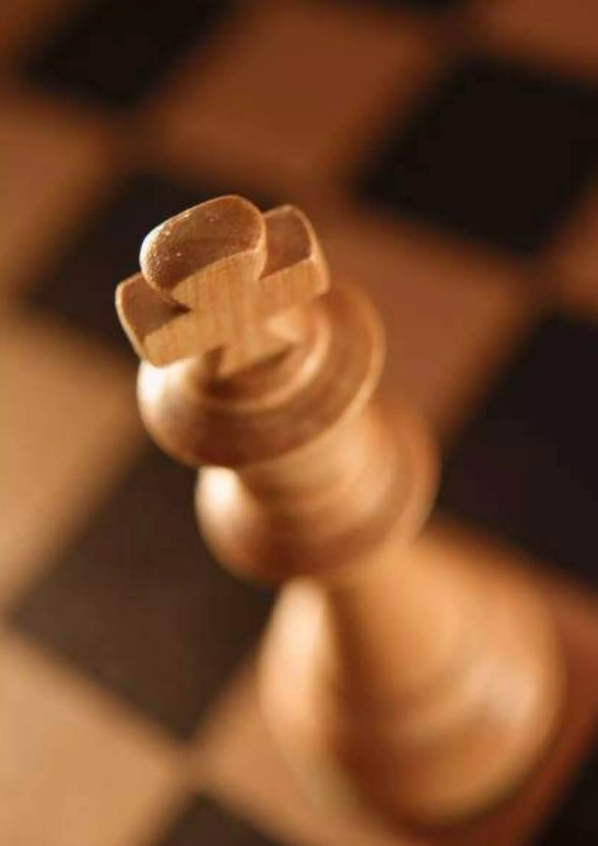 LASSIB Society | Industry Advisory Report on Strategy Development 2013
Page | 17 | © 2013 LASSIB Society, All Rights Reserved
 