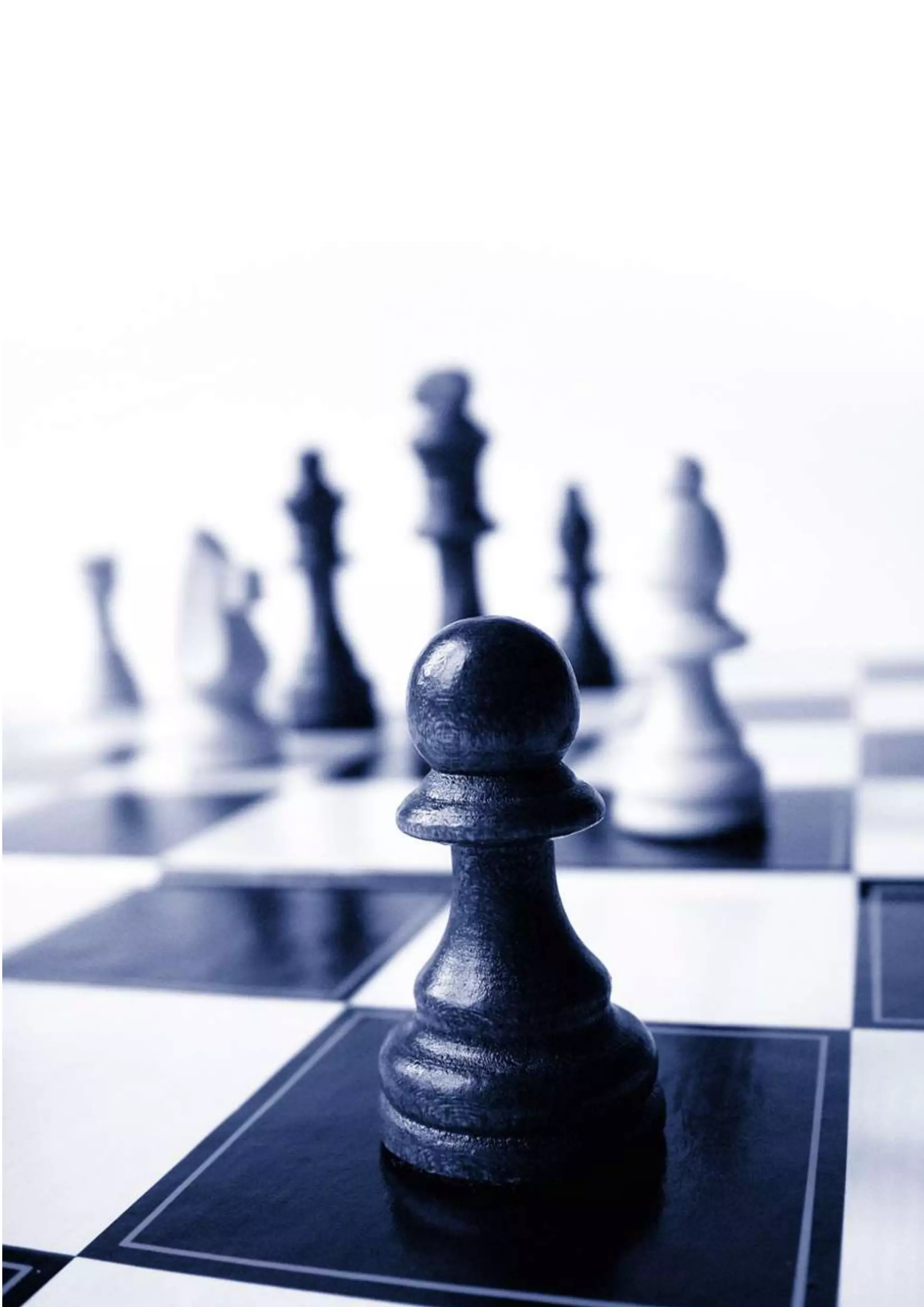 LASSIB Society | Industry Advisory Report on Strategy Development 2013
Page | 20 | © 2013 LASSIB Society, All Rights Reserved
 