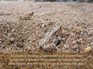 Understanding the business environment
is critically importent in order to create an effective strategy.
 