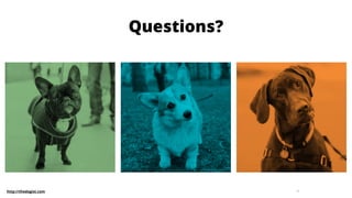 34
Questions?
http://thedogist.com
 