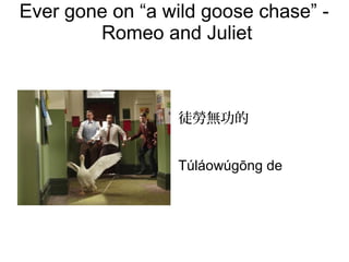 Ever gone on “a wild goose chase” -
Romeo and Juliet
徒勞無功的
Túláowúgōng de
 