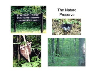 Stratford Vernal Pool Presentation 2 09