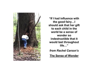 Stratford Vernal Pool Presentation 2 09