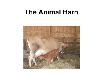 Stratford Vernal Pool Presentation 2 09