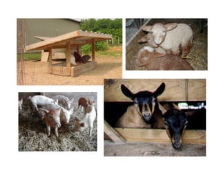 Stratford Vernal Pool Presentation 2 09