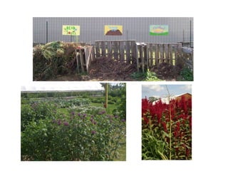 Stratford Vernal Pool Presentation 2 09