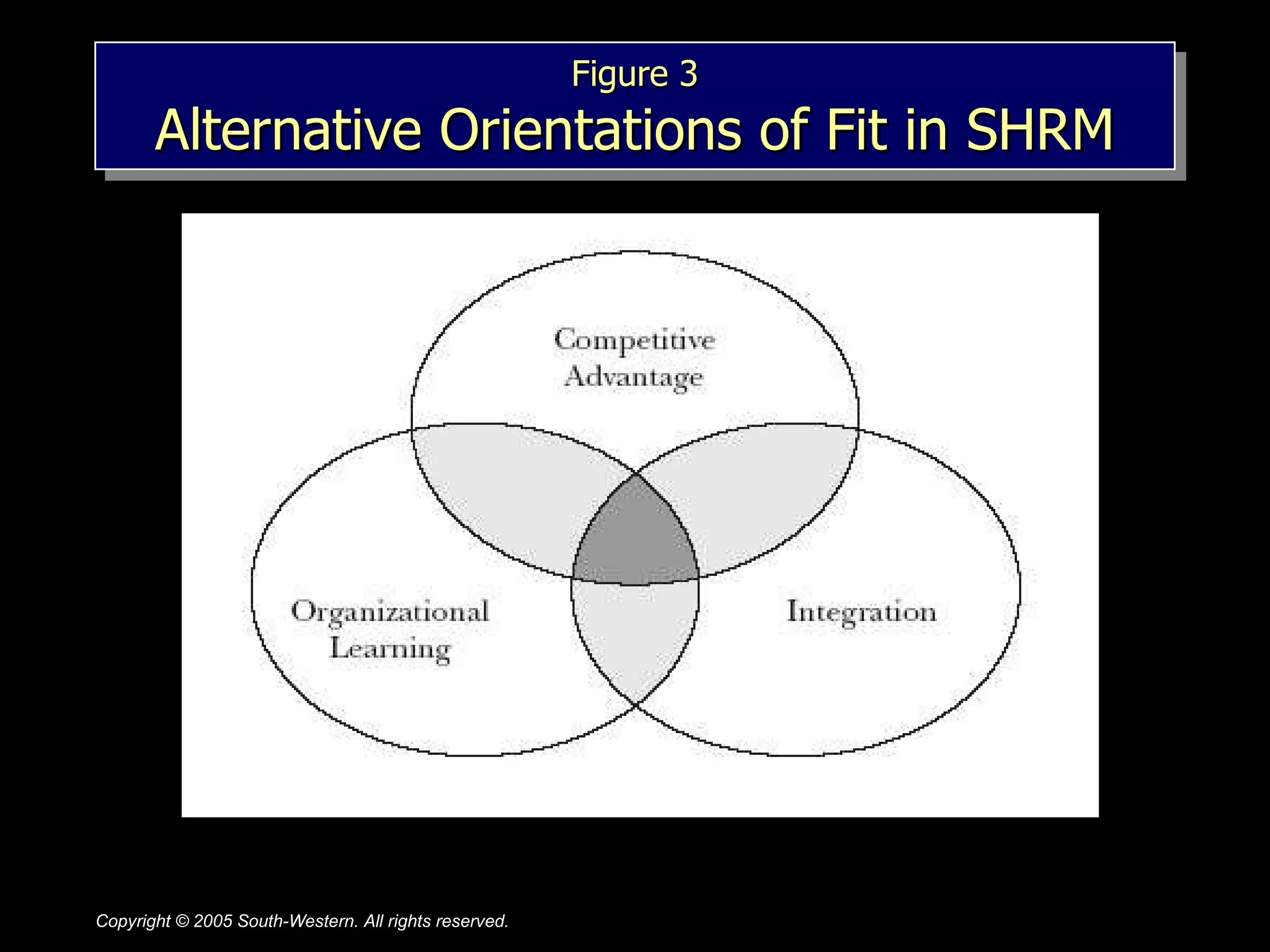 Figure 3 Alternative Orientations of Fit in SHRM 