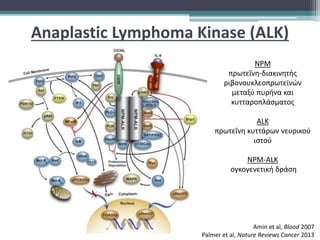 Αnaplastic Lymphoma Kinase (ALK)
Amin et al, Blood 2007
Palmer et al, Nature Reviews Cancer 2013
NPM
πρωτεΐνη-διακινητής
ριβονουκλεοπρωτεϊνών
μεταξύ πυρήνα και
κυτταροπλάσματος
ALK
πρωτεΐνη κυττάρων νευρικού
ιστού
NPM-ALK
ογκογενετική δράση
 