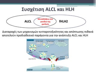 Συσχέτιση ALCL και HLH
Διαταραχές των μηχανισμών κυτταροτοξικότητας και απόπτωσης πιθανά
αποτελούν προδιαθεσικό παράγοντα για την ανάπτυξη ALCL και HLH
ALCL fHLH2
Μεταλλάξεις στο
γονίδιο της
perforin
 