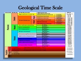 Geological Time Scale

 