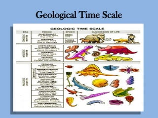 Geological Time Scale

 