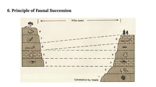 6. Principle of Faunal Succession
 