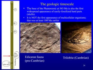 24
The geologic timescale
• The base of the Phanerozoic at 543 Ma is also the first
widespread appearance of easily-fossilized hard parts
(shells).
• It is NOT the first appearance of multicellular organisms;
that was at least 100 Ma earlier
Edicaran fauna
(pre-Cambrian)
Trilobite (Cambrian)
 
