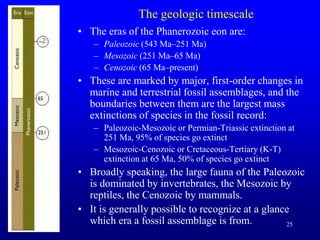 25
The geologic timescale
• The eras of the Phanerozoic eon are:
– Paleozoic (543 Ma–251 Ma)
– Mesozoic (251 Ma–65 Ma)
– Cenozoic (65 Ma–present)
• These are marked by major, first-order changes in
marine and terrestrial fossil assemblages, and the
boundaries between them are the largest mass
extinctions of species in the fossil record:
– Paleozoic-Mesozoic or Permian-Triassic extinction at
251 Ma, 95% of species go extinct
– Mesozoic-Cenozoic or Cretaceous-Tertiary (K-T)
extinction at 65 Ma, 50% of species go extinct
• Broadly speaking, the large fauna of the Paleozoic
is dominated by invertebrates, the Mesozoic by
reptiles, the Cenozoic by mammals.
• It is generally possible to recognize at a glance
which era a fossil assemblage is from.
 