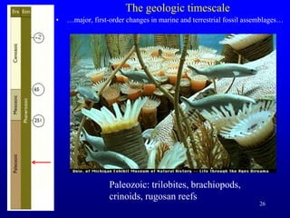 26
The geologic timescale
• …major, first-order changes in marine and terrestrial fossil assemblages…
Paleozoic: trilobites, brachiopods,
crinoids, rugosan reefs
 