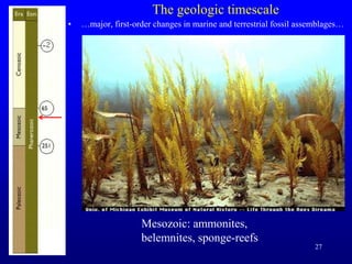 27
The geologic timescale
• …major, first-order changes in marine and terrestrial fossil assemblages…
Mesozoic: ammonites,
belemnites, sponge-reefs
 