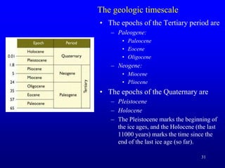 31
The geologic timescale
• The epochs of the Tertiary period are
– Paleogene:
• Paleocene
• Eocene
• Oligocene
– Neogene:
• Miocene
• Pliocene
• The epochs of the Quaternary are
– Pleistocene
– Holocene
– The Pleistocene marks the beginning of
the ice ages, and the Holocene (the last
11000 years) marks the time since the
end of the last ice age (so far).
 
