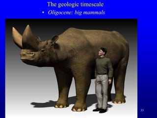 33
The geologic timescale
• Oligocene: big mammals
 
