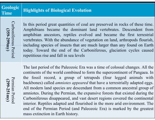 Stratigraphy - Geological time scale.pdf
