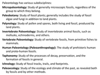 Stratigraphy_and_Paleontology for Mining Engineering.pdf