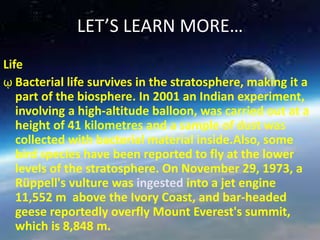 LET’S LEARN MORE…
Life
ῳ Bacterial life survives in the stratosphere, making it a
part of the biosphere. In 2001 an Indian experiment,
involving a high-altitude balloon, was carried out at a
height of 41 kilometres and a sample of dust was
collected with bacterial material inside.Also, some
bird species have been reported to fly at the lower
levels of the stratosphere. On November 29, 1973, a
Rüppell's vulture was ingested into a jet engine
11,552 m above the Ivory Coast, and bar-headed
geese reportedly overfly Mount Everest's summit,
which is 8,848 m.
 