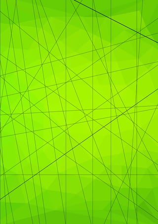 Strauss 150: NEW PERSPECTIVESvol.2