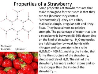 Properties of a Strawberry
                         Some properties of strawberries are that
                         make them good for their uses is that they
                         are red (because they contain
                         "anthocyanins”) , they are edible,
                         malleable, rough, irregular, soft and they
                         float. They have almost no relative
                         strength. The percentage of water that is in
                         a strawberry is between 98-99% depending
                         on the kind of strawberry. H2O molecules
                         are held together by weak bonds with
N=nitrogen
C=carbon     H20=water
                         nitrogen and carbon atoms in a ratio
                         H2O:N:C = 400:4:1, making the inside , that
                         forms the structure of the strawberry,
                         almost entirely of H2O. The skin of the
                         strawberry has more carbon atoms and so
                         it is stronger than the inside of the
                         strawberry. Wiki.
 