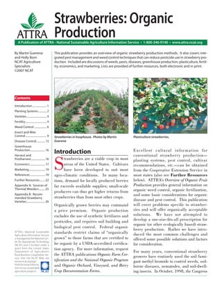 Strawberries: Organic
   ATTRA                                      Production
    A Publication of ATTRA - National Sustainable Agriculture Information Service • 1-800-346-9140 • www.attra.ncat.org

By Martin Guerena                             This publication provides an overview of organic strawberry production methods. It also covers inte-
and Holly Born                                grated pest management and weed control techniques that can reduce pesticide use in strawberry pro-
NCAT Agriculture                              duction. Included are discussions of weeds, pests, diseases, greenhouse production, plasticulture, fertil-
Specialists                                   ity, economics, and marketing. Lists are provided of further resources, both electronic and in print.
©2007 NCAT




Contents
Introduction ..................... 1
Planting Systems ............ 2
Varieties ............................. 4
Fertility ............................... 4
Weed Control .................. 6
Insect and Mite
Control ............................... 9     Strawberries in hoophouse. Photos by Martin           Plasticulture strawberries.
Disease Control ............. 13              Guerena
Greenhouse
Production ...................... 16
                                              Introduction                                          Excel lent cu ltura l i nformat ion for



                                              S
Harvest and                                                                                         conventional strawberry production—
Postharvest ..................... 16                trawberries are a viable crop in most           planting systems, pest control, cultivar
Economics ...................... 17                 areas of the United States. Cultivars           recommendations, etc.—can be obtained
Marketing ........................ 19               have been developed to suit most                from the Cooperative Extension Service in
References ...................... 19          agro-climatic conditions. In many loca-               most states (also see Further Resources
Further Resources ........ 22                 tions, demand for locally produced berries            below). ATTRA’s Overview of Organic Fruit
Appendix A: Sources of                        far exceeds available supplies; small-scale           Production provides general information on
Thermal Weeders ......... 25                                                                        organic weed control, organic fertilization,
                                              producers can thus get higher returns from
Appendix B: Recom-                                                                                  and some basic considerations for organic
mended Strawberry                             strawberries than from most other crops.
Varieties ........................... 26                                                            disease and pest control. This publication
                                              Organically grown berries may command                 will cover problems speciﬁc to strawber-
                                              a price premium. Organic production                   ries and will offer organically acceptable
                                              excludes the use of synthetic fertilizers and         solutions. We have not attempted to
                                              pesticides, and requires soil building and            develop a one-size-ﬁts-all prescription for
                                                                                                    organic (or other ecologically based) straw-
                                              biological pest control. Federal organic
                                                                                                    berry production. Rather we have intro-
ATTRA—National Sustainable                    standards restrict claims of “organically             duced the most common challenges and
Agriculture Information Service
is managed by the National Cen-               grown” to those farms that are certiﬁed to            offered some possible solutions and factors
ter for Appropriate Technology
(NCAT) and is funded under a                  be organic by a USDA-accredited certiﬁca-             for consideration.
grant from the United States                  tion agency. For more information, request
Department of Agriculture’s                                                                         For many years, conventional strawberry
Rural Business-Cooperative Ser-               the ATTRA publications Organic Farm Cer-              growers have routinely used the soil fumi-
vice. Visit the NCAT Web site
(www.ncat.org/agri.                           tiﬁcation and the National Organic Program            gant methyl bromide to control weeds, soil-
html) for more informa-
tion on our sustainable
                                              and Organic Orchard, Vineyard, and Berry              borne diseases, nematodes, and soil-dwell-
agriculture projects. ����                    Crop Documentation Forms.                             ing insects. In October, 1998, the Congress
 