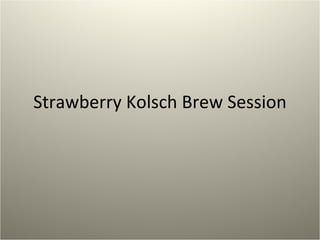 Strawberry Kolsch Brew Session 