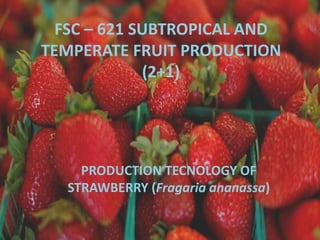 FSC – 621 SUBTROPICAL AND
TEMPERATE FRUIT PRODUCTION
(2+1)
PRODUCTION TECNOLOGY OF
STRAWBERRY (Fragaria ananassa)
 