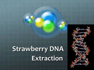 Strawberry DNA
     Extraction
 