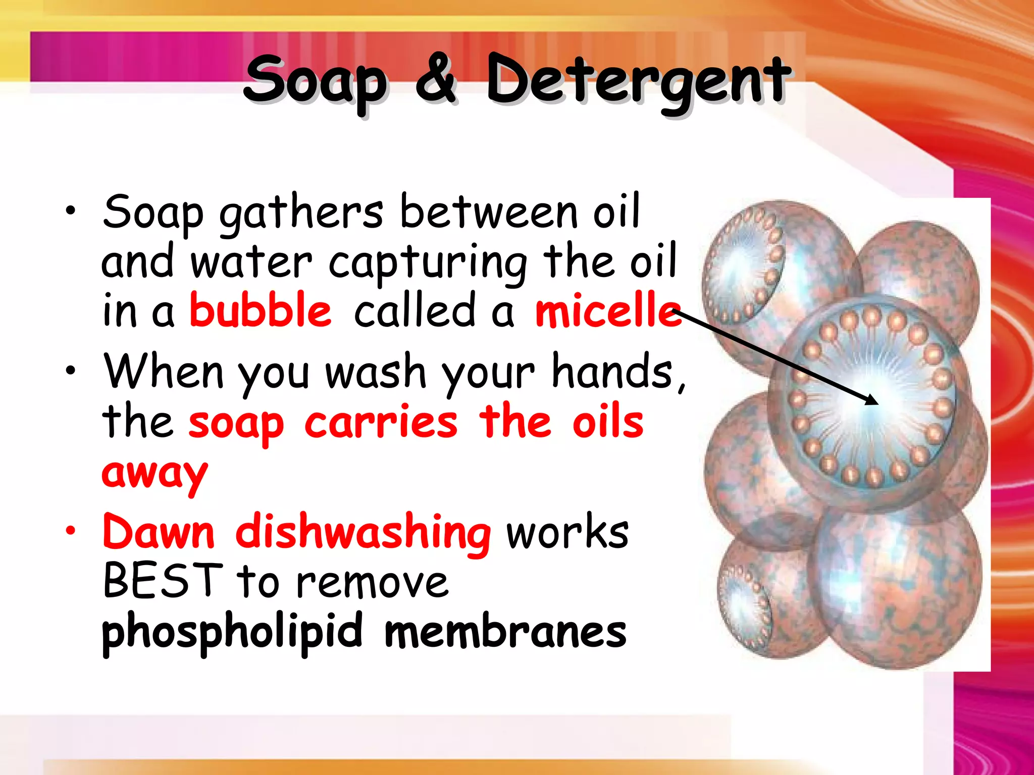 Soap & Detergent

• Soap gathers between oil
  and water capturing the oil
  in a bubble called a micelle
• When you wash your hands,
  the soap carries the oils
  away
• Dawn dishwashing works
  BEST to remove
  phospholipid membranes
 