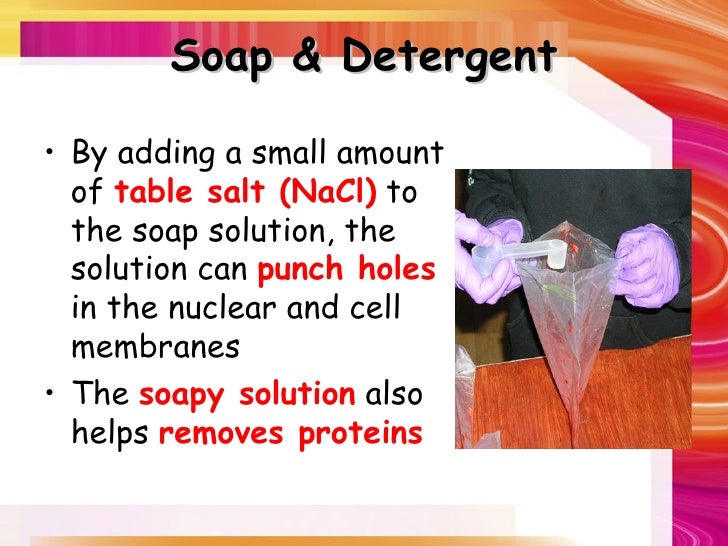 Strawberry Dna Extraction