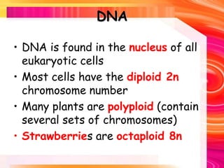 DNA
• DNA is found in the nucleus of all
eukaryotic cells
• Most cells have the diploid 2n
chromosome number
• Many plants are polyploid (contain
several sets of chromosomes)
• Strawberries are octaploid 8n
 