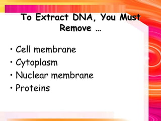 To Extract DNA, You Must
Remove …
• Cell membrane
• Cytoplasm
• Nuclear membrane
• Proteins
 