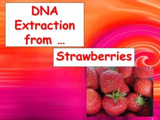 DNA
Extraction
from …
Strawberries
 