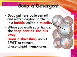 Soap & Detergent
Soap & Detergent
• Soap gathers between oil
and water capturing the oil
in a bubble called a micelle
• When you wash your hands,
the soap carries the oils
away
• Dawn dishwashing works
BEST to remove
phospholipid membranes
 