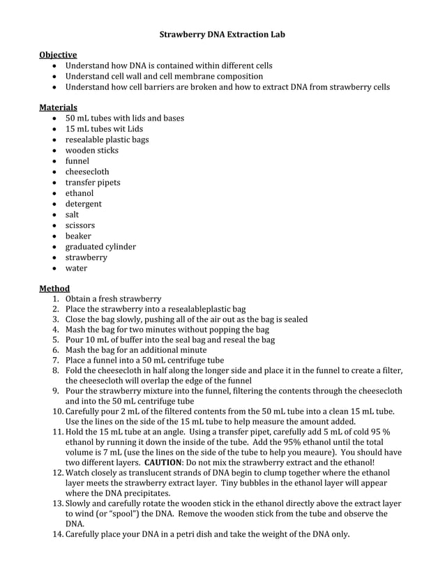 DNA Extraction Lab PDF